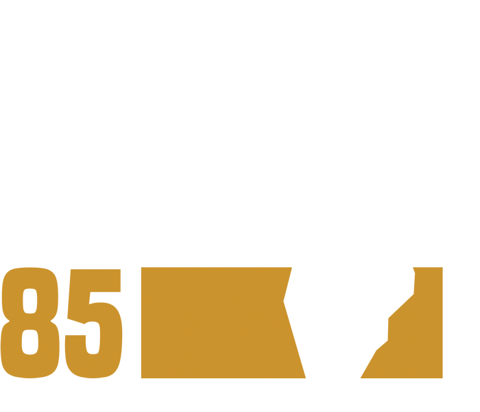 Africa 85